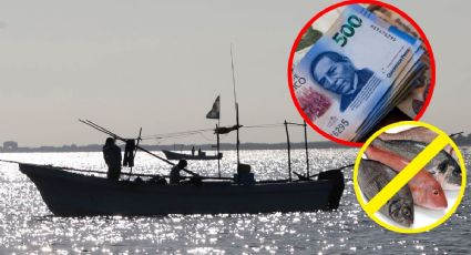 Entregan apoyo a pescadores en Yucatán por veda ¿Cómo recibir hasta 6 mil pesos?