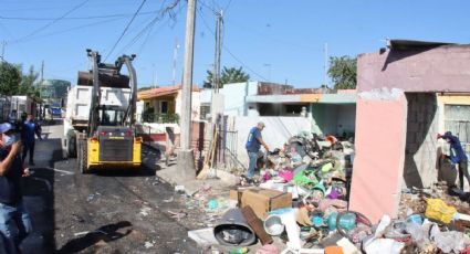 Ayuntamiento de Mérida retira 21 toneladas de basura en un predio de la Colonia Cordemex