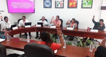 INE instalará 1,414 casillas para la elección judicial en Yucatán