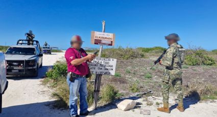 Profepa detiene devastación de manglares en Sisal