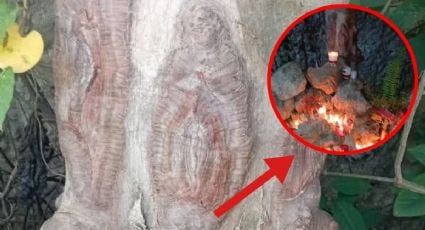 Supuesta imagen de la Virgen se hace presente en Tahdziú: ¿Es real?
