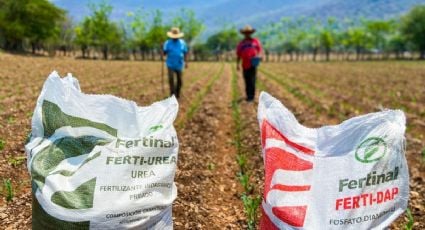 Empiezan el Programa Fertilizantes en Yucatán | Así puedes participar