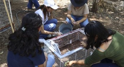 UADY impulsa conciencia ambiental con jornada estudiantil de rescate y rehabilitación de fauna