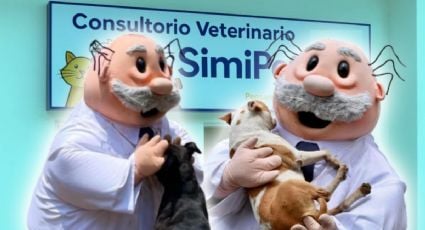 Veterinarias Dr Simi en Yucatán ¿La iniciativa es una realidad?