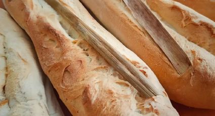 ¿Cuántas calorías tiene el pan francés de Yucatán? Conoce sus sustitutos saludables