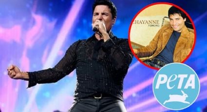 PETA pide a Chayanne cambiar el título de su éxito “Torero” por “Bombero”