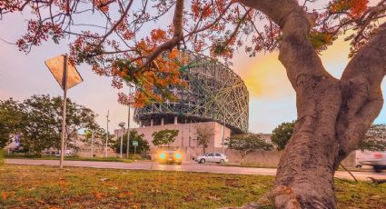 Ruta de museos en Mérida: una forma diferente de conocer la historia y cultura de Yucatán