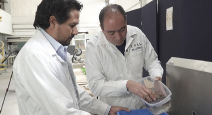 Construir con sargazo; investigadores de la UNAM desarrollan el Sargapanel