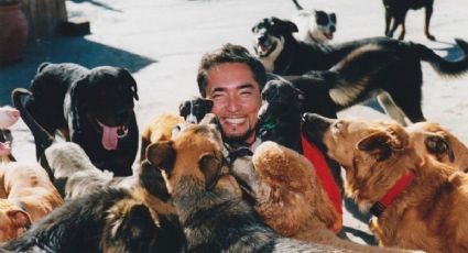 ¿Tu perro se lanza a la comida? Conoce el truco de César Millán para enseñarle a respetar sin gritos
