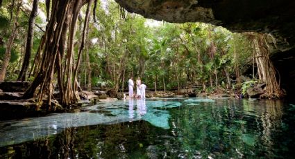 Las curiosidades de los cenotes de Yucatán: tesoros naturales llenos de historia, vida y misterio
