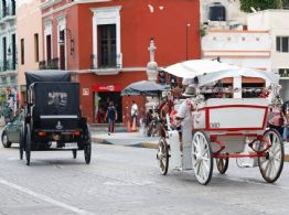 Mérida planea reordenar  calesas, conductores y caballos