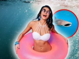 El MEJOR lugar para nadar con tiburones en México: precios, fechas y todo lo que debes saber