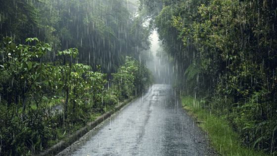 Chubascos dispersos y temperaturas calurosas para este viernes 13 de junio en Yucatán