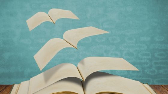 Libros yucatecos que te mereces leer por lo menos una vez