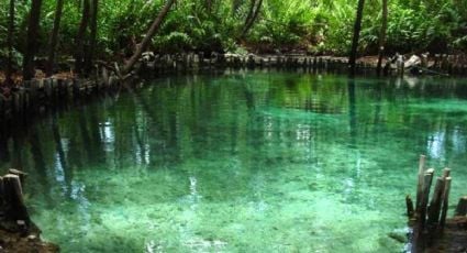 Yucatán también tiene manantiales: los espectaculares ojos de agua donde brota la vida