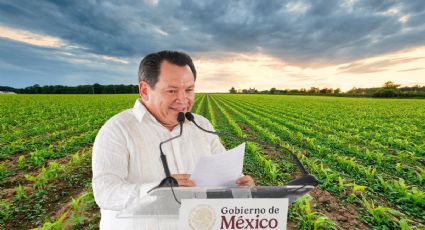 Anuncian inversión millonaria para caminos sacacosechas en Yucatán | MUNICIPIOS BENEFICIADOS