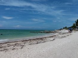 Yucatán será sede del arranque nacional del programa de limpieza de playas en México