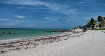 Yucatán será sede del arranque nacional del programa de limpieza de playas en México