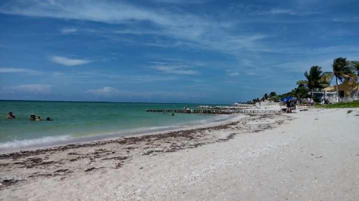 Yucatán será sede del arranque nacional del programa de limpieza de playas en México