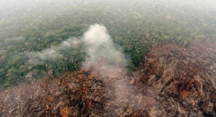 Detectan devastación ambiental en Yucatán: Semarnat investiga a desarrolladores inmobiliarios