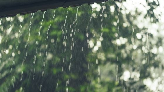 Clima en Yucatán para el miércoles 4 de junio: éste es el pronóstico