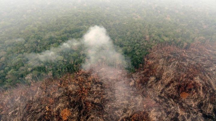 Detectan devastación ambiental en Yucatán: Semarnat investiga a desarrolladores inmobiliarios