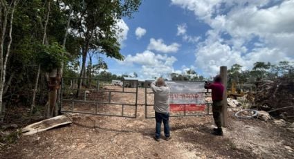 Profepa clausura desmonte ilegal en más de 2 mil hectáreas de selva en la Península de Yucatán