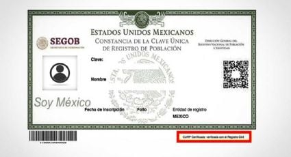 El Senado aprueba la implementación de la CURP biométrica, ¿ya puedo tramitarla en Yucatán?