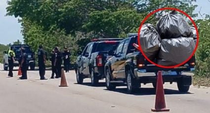 Localizan cráneos humanos en la vía Telchac-Progreso, podrían ser de un cementerio