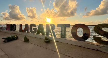 Río Lagartos, el mejor lugar de la costa yucateca para ver estrellas y vivir una noche mágica