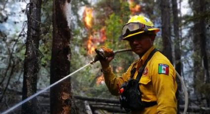 ¿Quién es Iván Dzul, el bombero yucateco que combate incendios en Canadá?