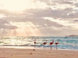 Vacaciones de verano: Así puedes llegar al único pueblo mágico de Yucatán con playa