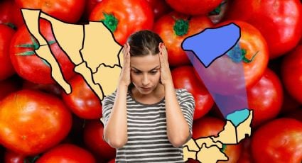 Aranceles de Trump: ¿tendrán impacto en la producción de tomate en Yucatán?