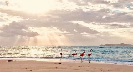 Vacaciones de verano: Así puedes llegar al único pueblo mágico de Yucatán con playa