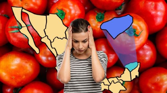 Aranceles de Trump: ¿tendrán impacto en la producción de tomate en Yucatán?