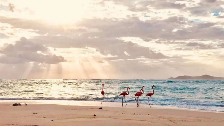 Vacaciones de verano: Así puedes llegar al único pueblo mágico de Yucatán con playa