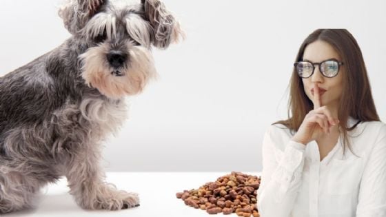 Día del perro: Las mejores croquetas para tu mascota según la Profeco
